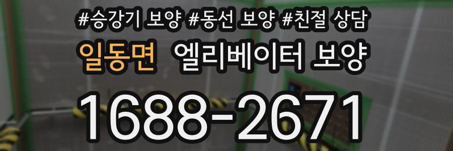 일동면 엘리베이터 보양