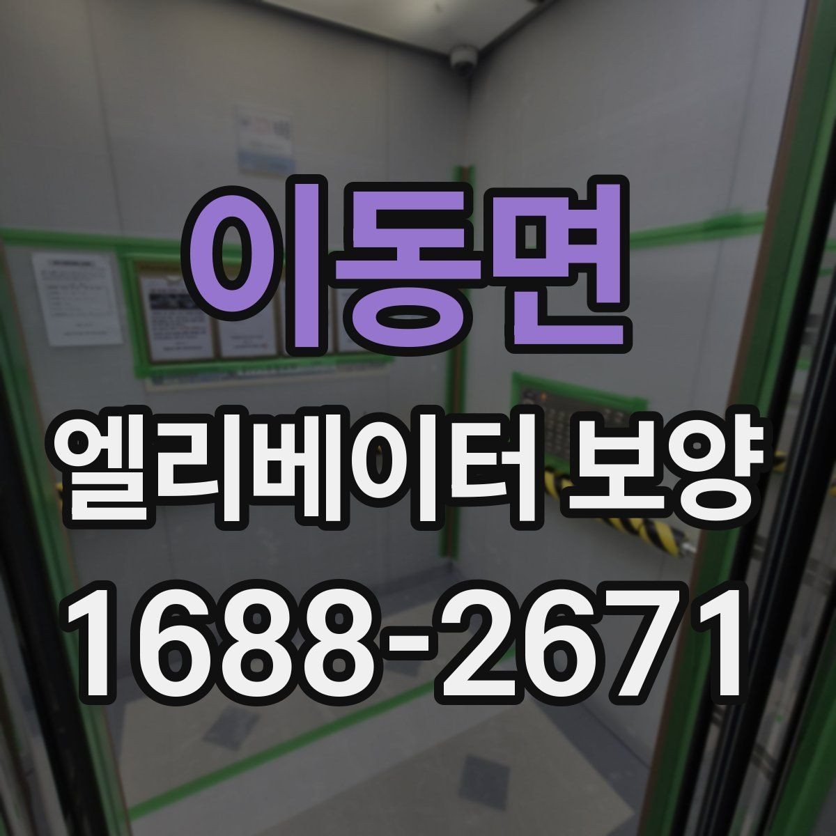 이동면 엘리베이터 보양 현장 사진으로 보는 진행 방식