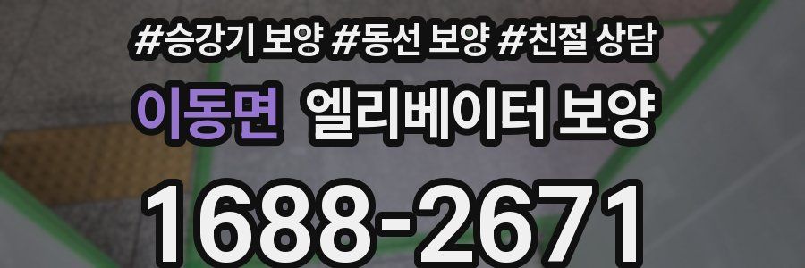 이동면 엘리베이터 보양