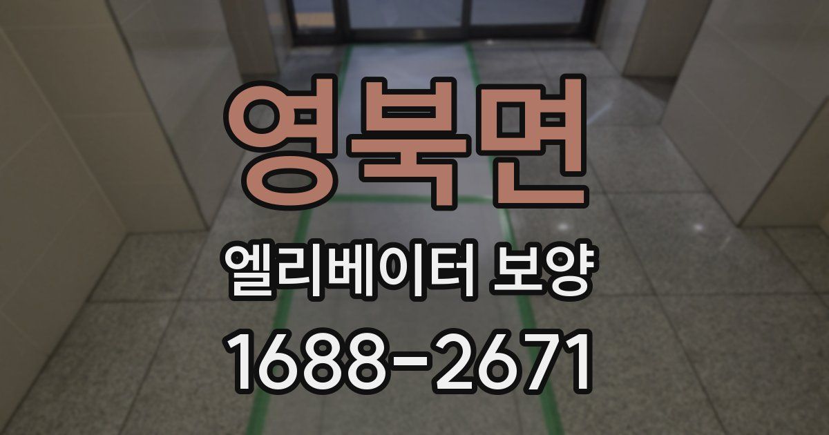 영북면 엘리베이터 보양