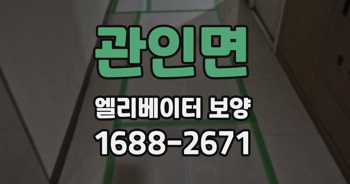 관인면 엘리베이터 보양