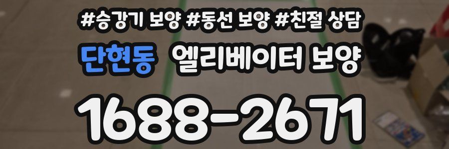 단현동 엘리베이터 보양