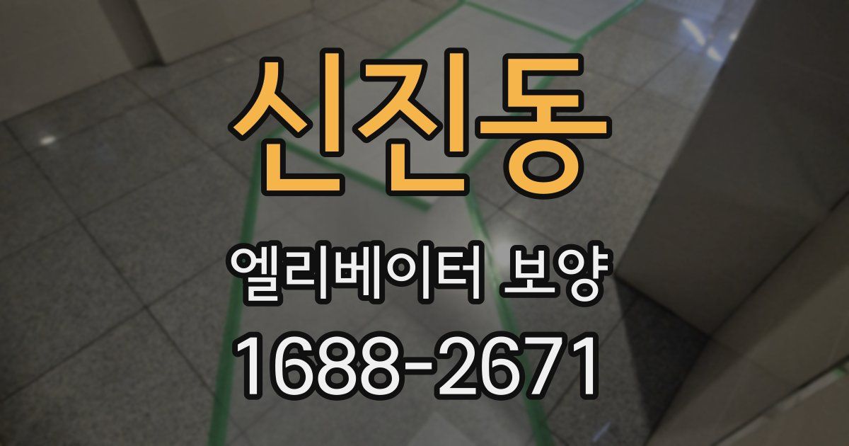 신진동 엘리베이터 보양