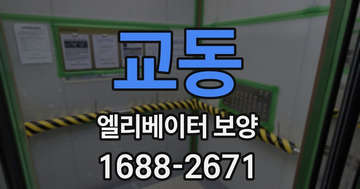 교동 엘리베이터 보양