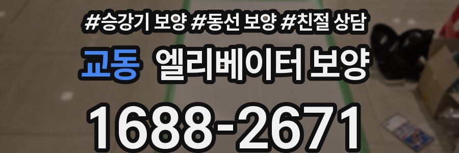 교동 엘리베이터 보양