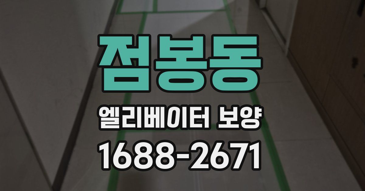 점봉동 엘리베이터 보양