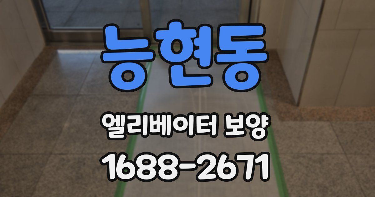 능현동 엘리베이터 보양