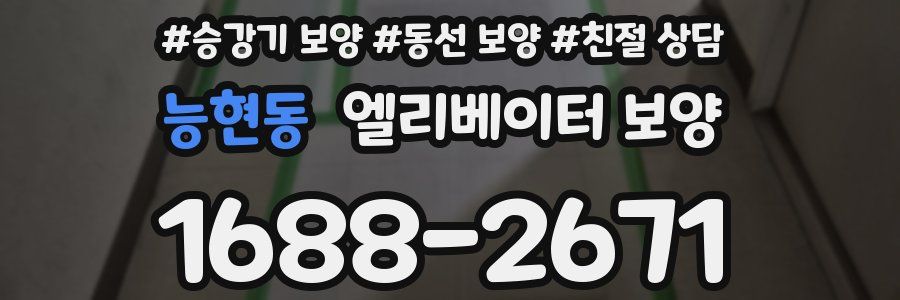 능현동 엘리베이터 보양