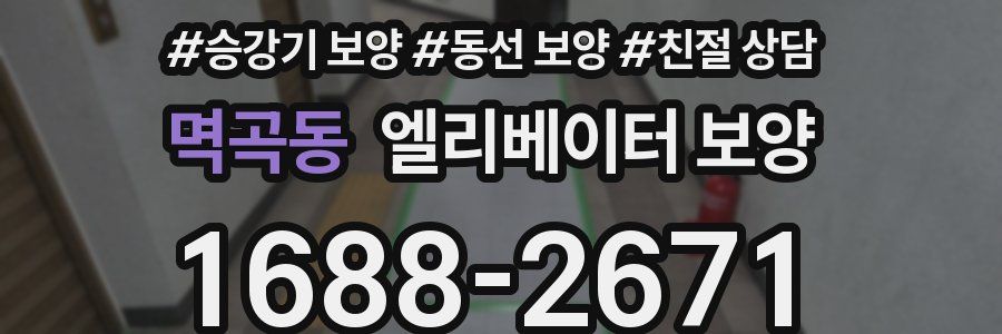 멱곡동 엘리베이터 보양