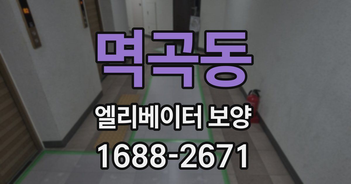 멱곡동 엘리베이터 보양