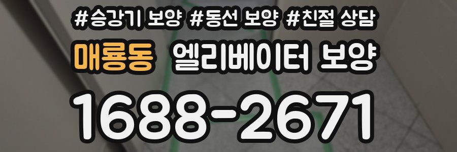 매룡동 엘리베이터 보양