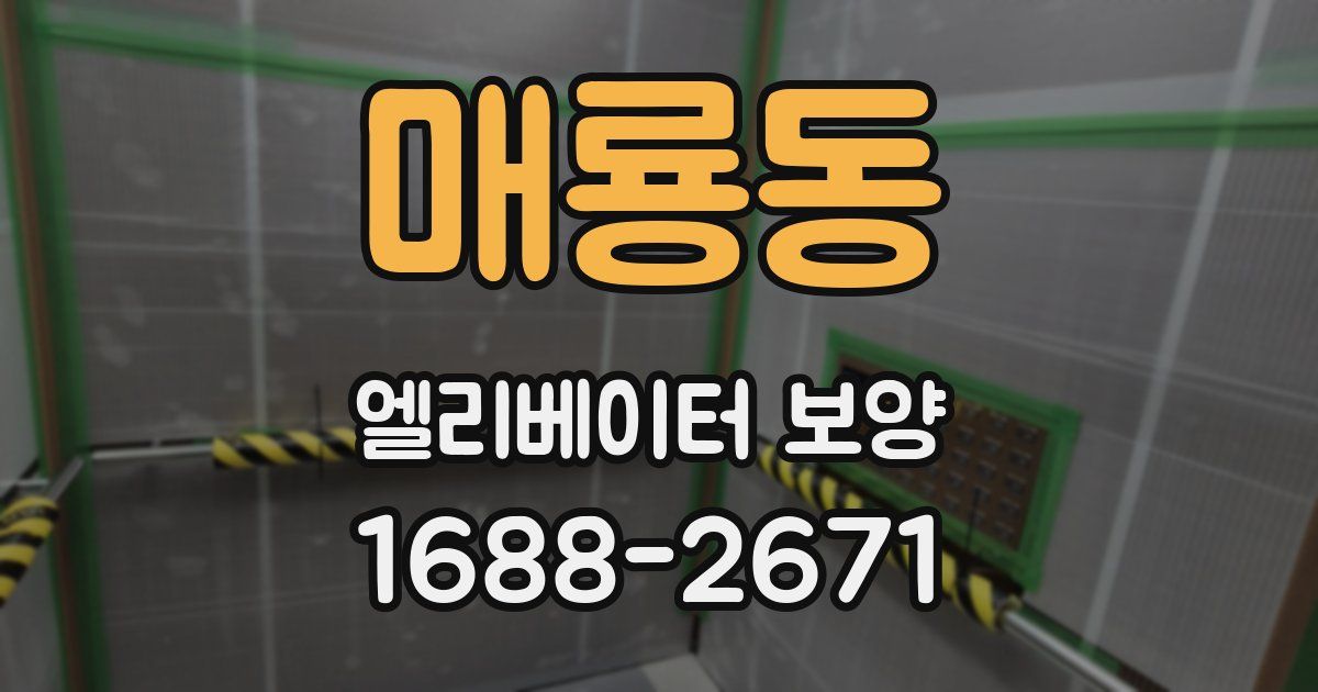 매룡동 엘리베이터 보양