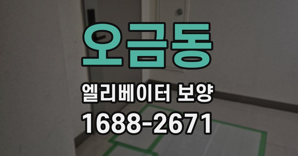 오금동 엘리베이터 보양