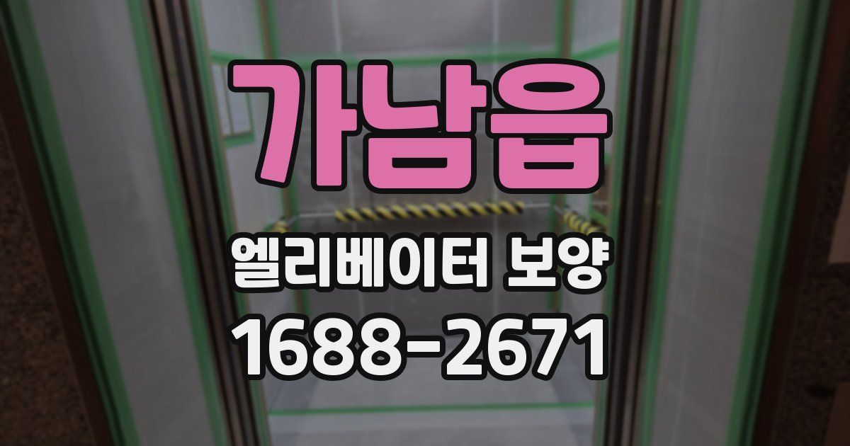 가남읍 엘리베이터 보양