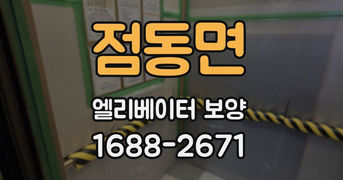 점동면 엘리베이터 보양