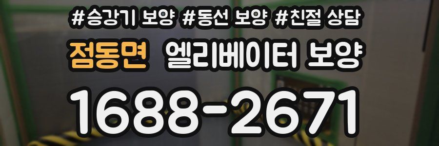 점동면 엘리베이터 보양