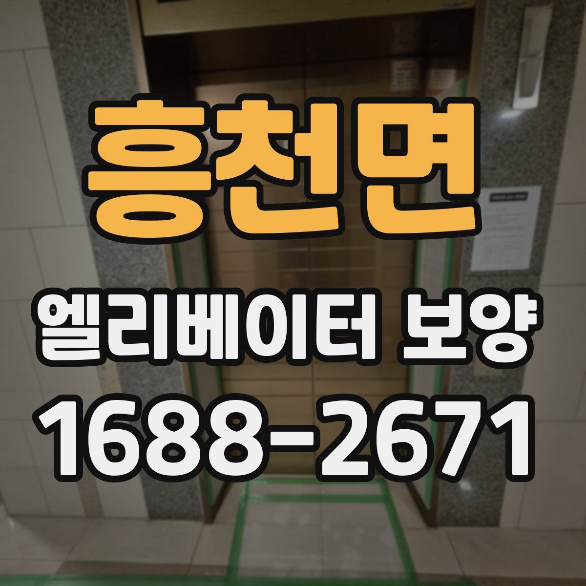 흥천면 엘리베이터 보양