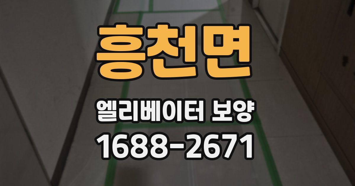 흥천면 엘리베이터 보양