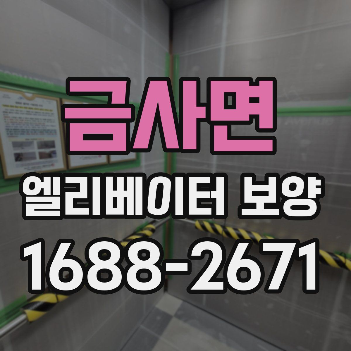 금사면 엘리베이터 보양
