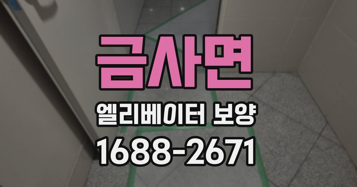 금사면 엘리베이터 보양