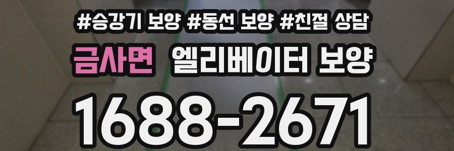 금사면 엘리베이터 보양