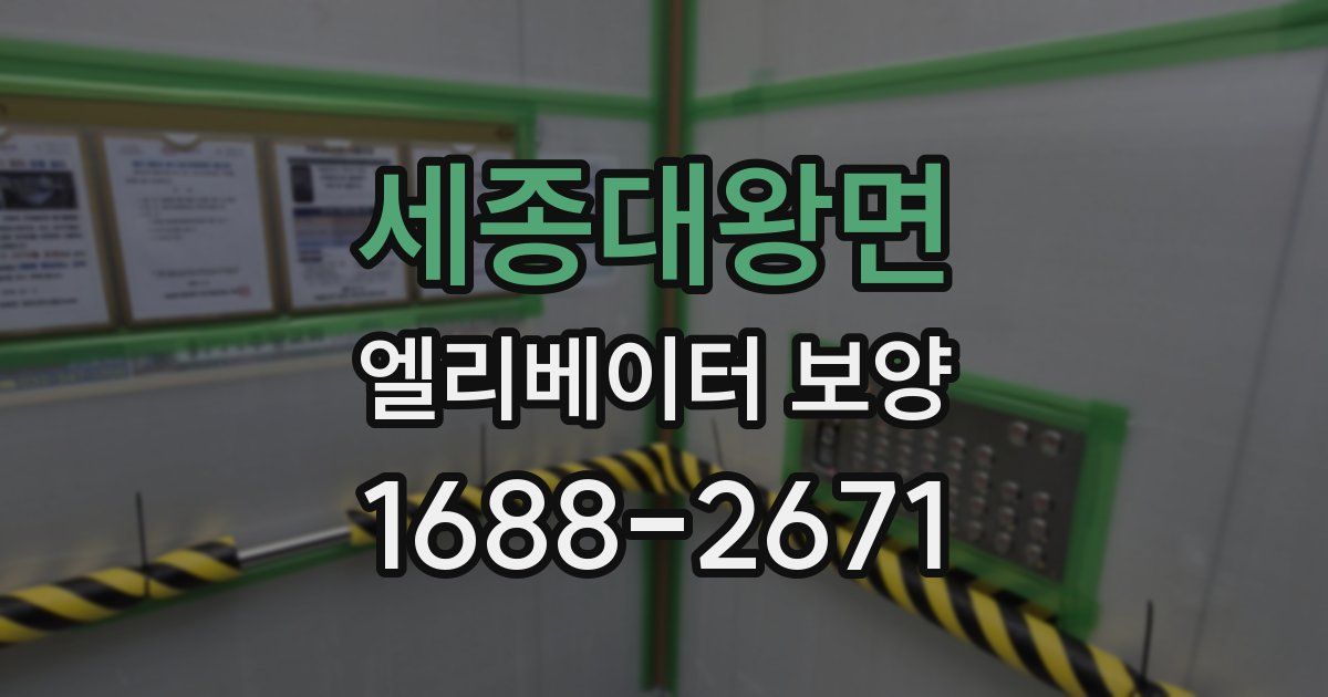 세종대왕면 엘리베이터 보양