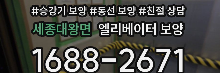 세종대왕면 엘리베이터 보양