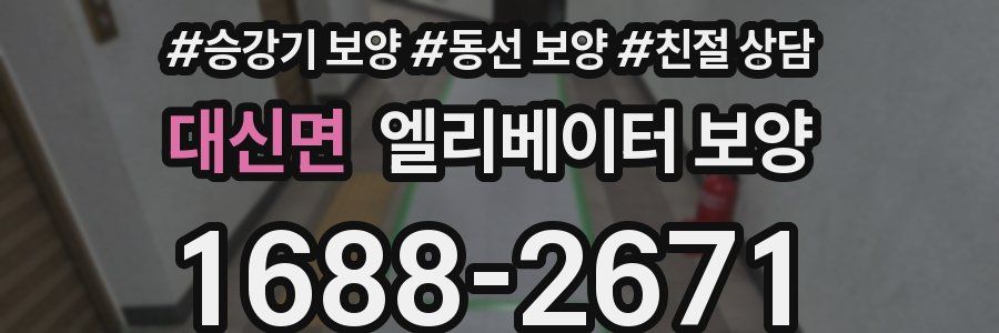 대신면 엘리베이터 보양