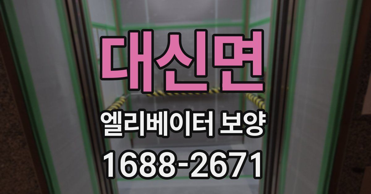 대신면 엘리베이터 보양