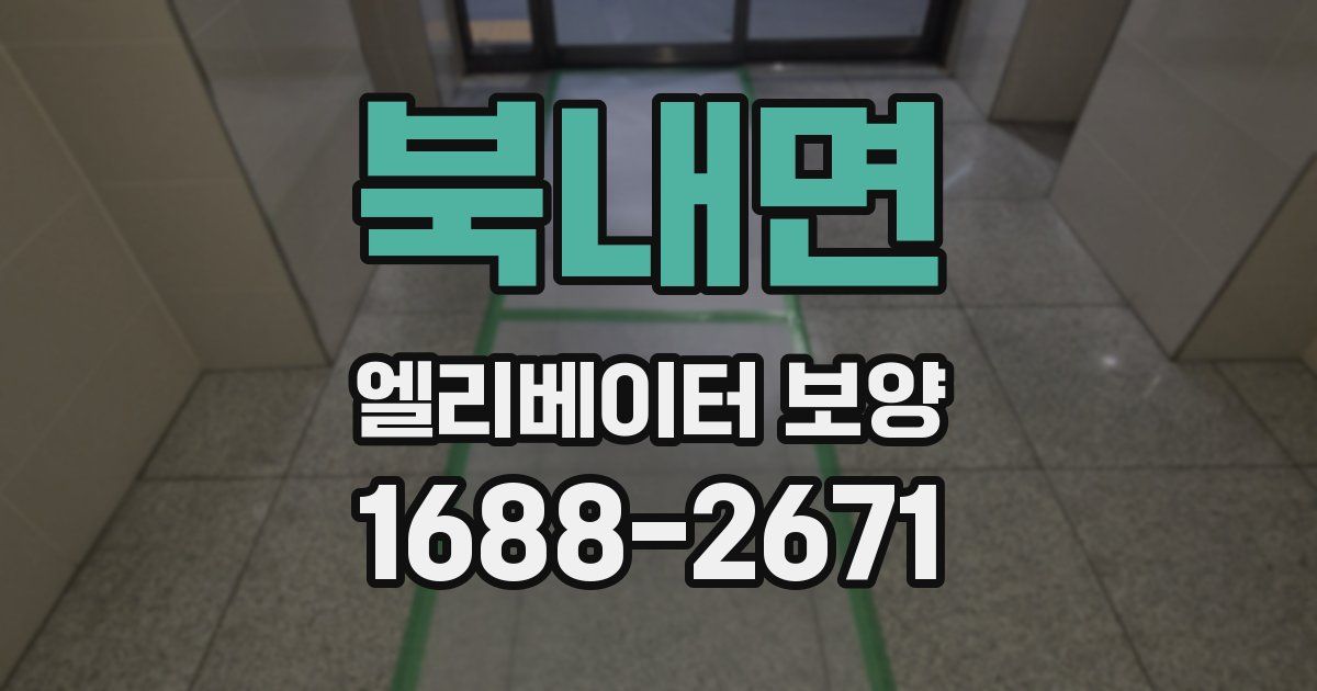 북내면 엘리베이터 보양