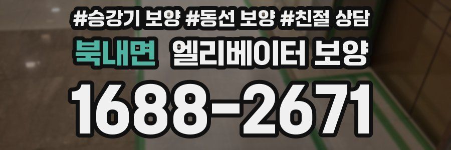 북내면 엘리베이터 보양