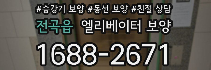 전곡읍 엘리베이터 보양