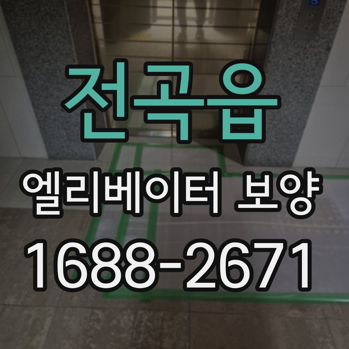 전곡읍 엘리베이터 보양