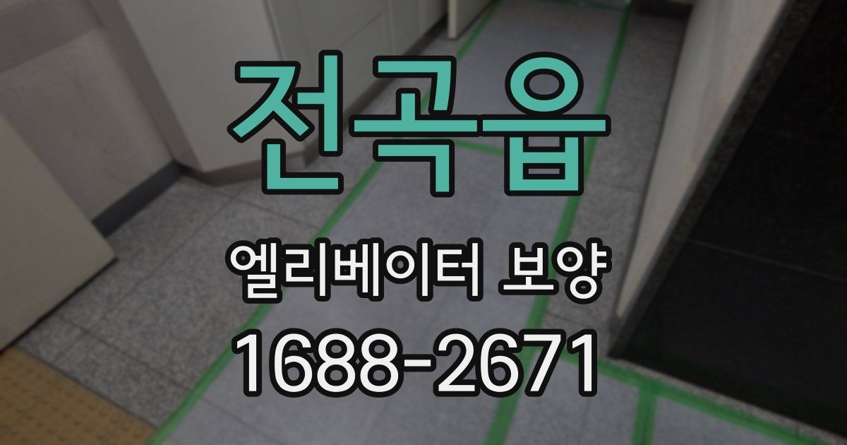 전곡읍 엘리베이터 보양
