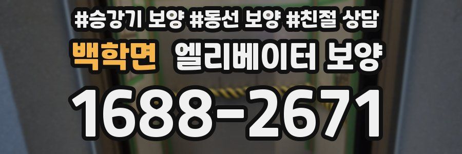 백학면 엘리베이터 보양