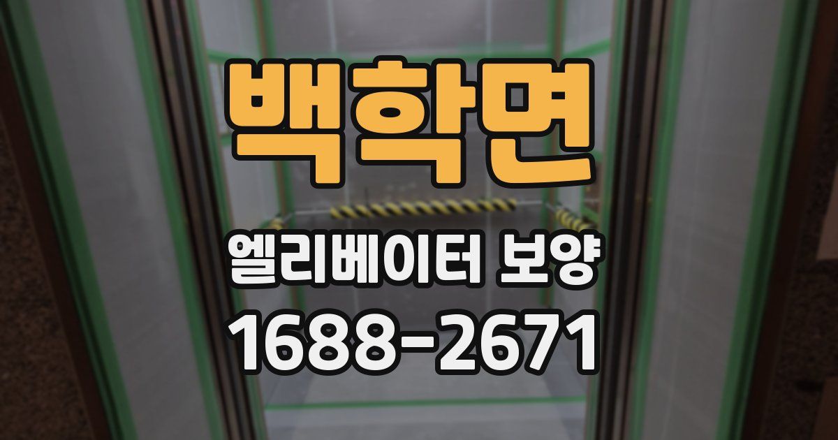 백학면 엘리베이터 보양