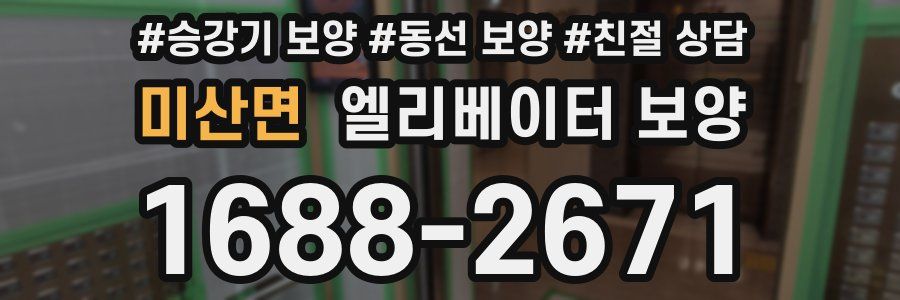 미산면 엘리베이터 보양
