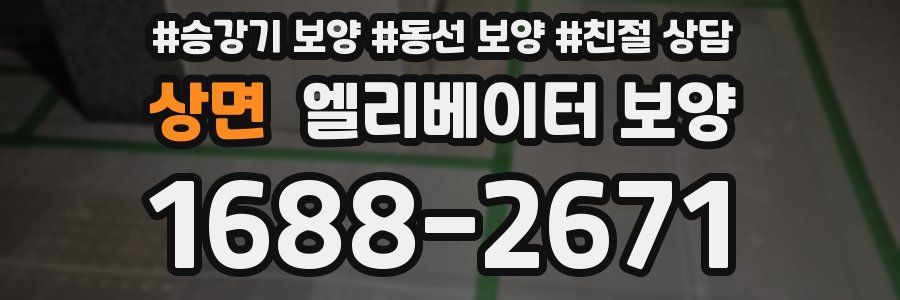 상면 엘리베이터 보양