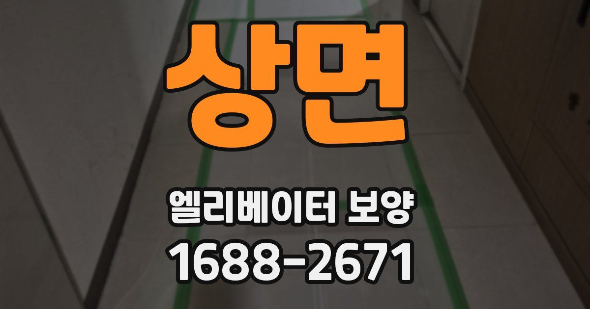 상면 엘리베이터 보양