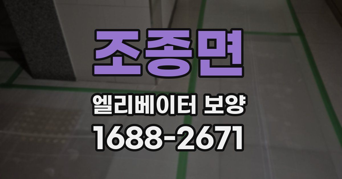 조종면 엘리베이터 보양