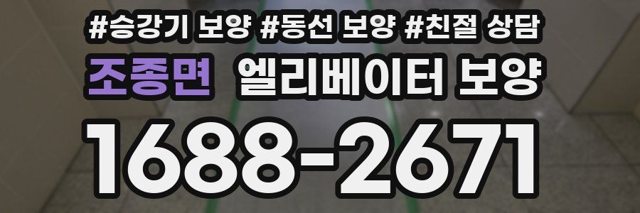 조종면 엘리베이터 보양