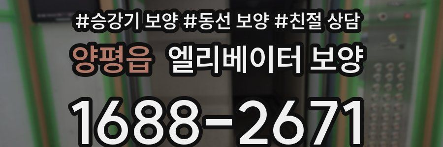 양평읍 엘리베이터 보양