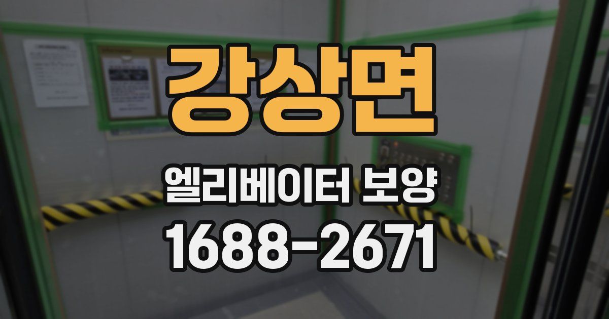 강상면 엘리베이터 보양
