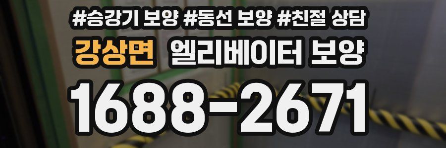 강상면 엘리베이터 보양