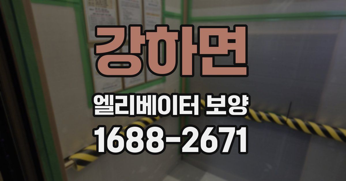 강하면 엘리베이터 보양