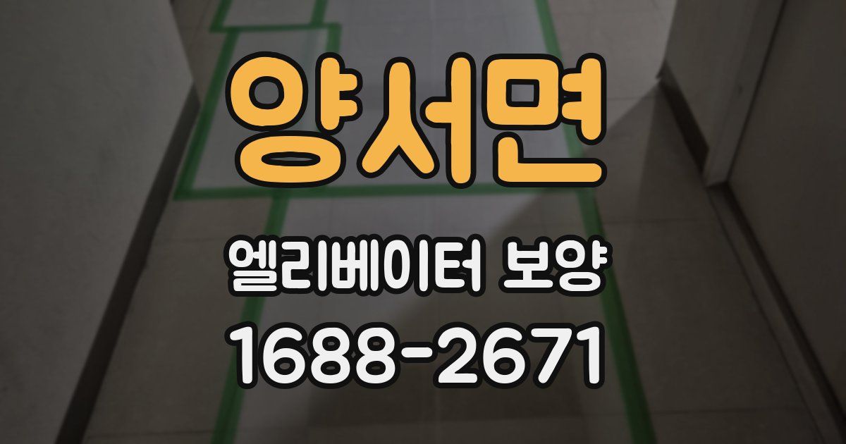 양서면 엘리베이터 보양