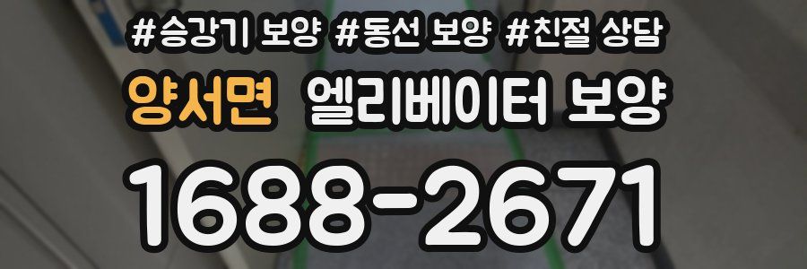 양서면 엘리베이터 보양