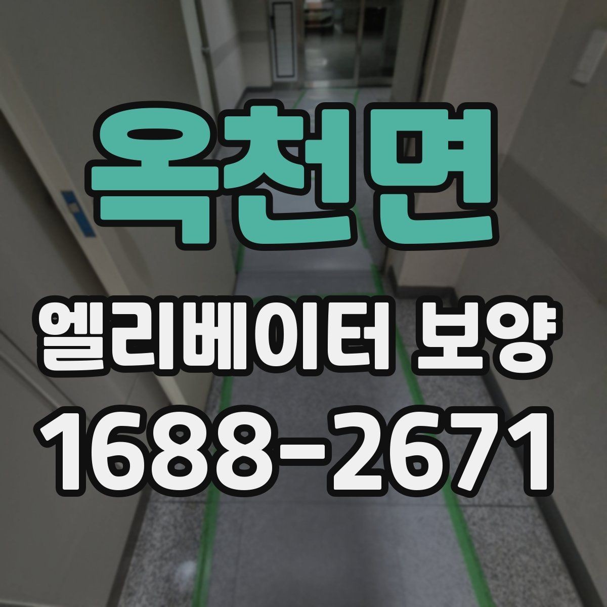 옥천면 엘리베이터 보양 비용과 작업 범위의 관계