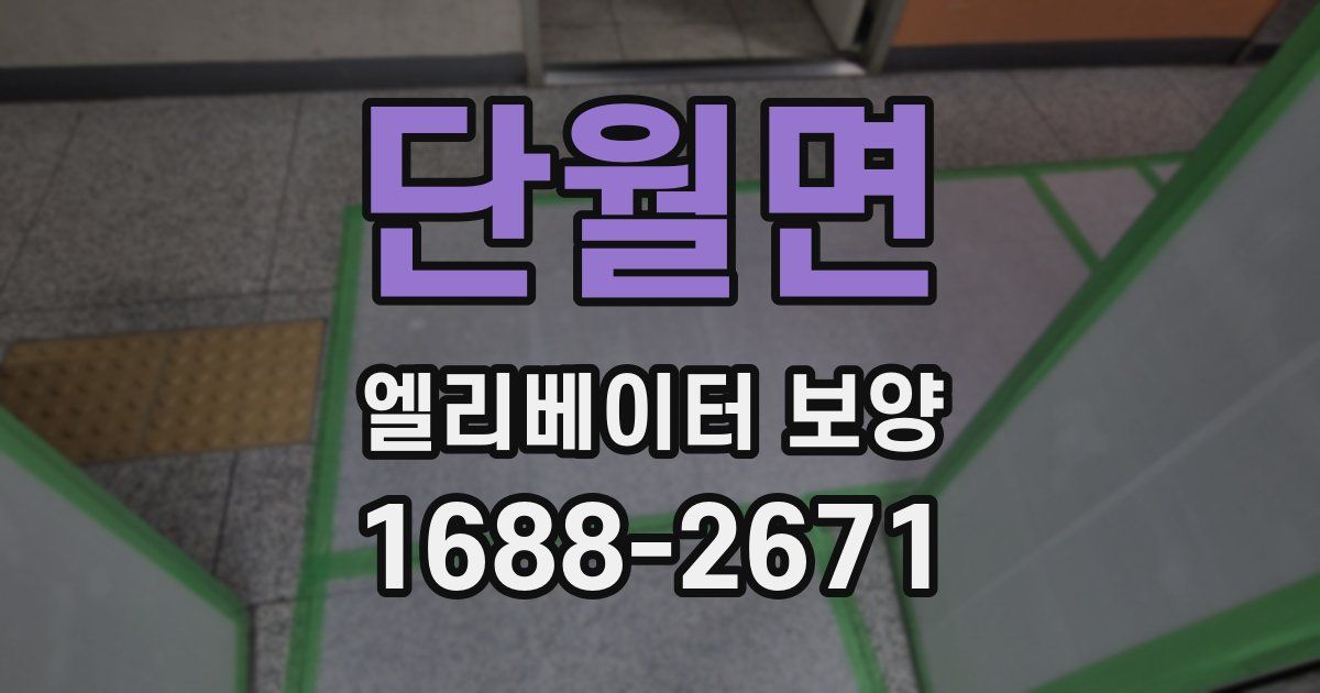 단월면 엘리베이터 보양