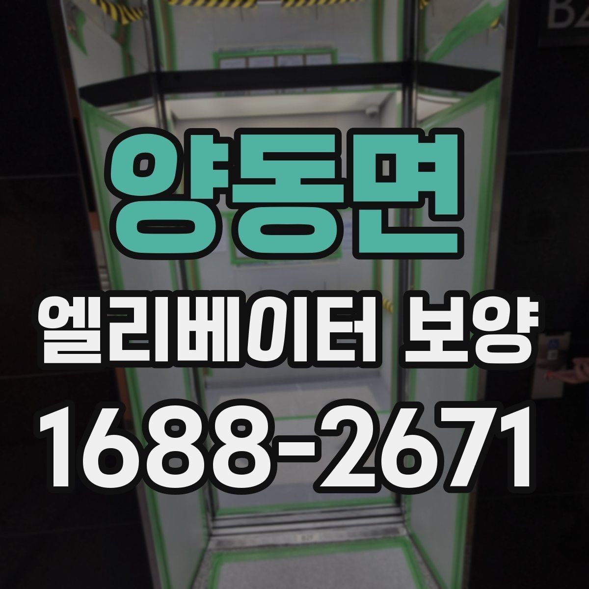 양동면 엘리베이터 보양 자주 묻는 질문과 답변